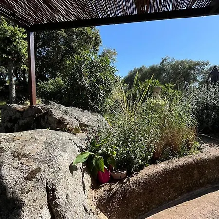 Holiday home A Liccia Piscine 4pers Proche Et Port Porto-Vecchio (Corsica)