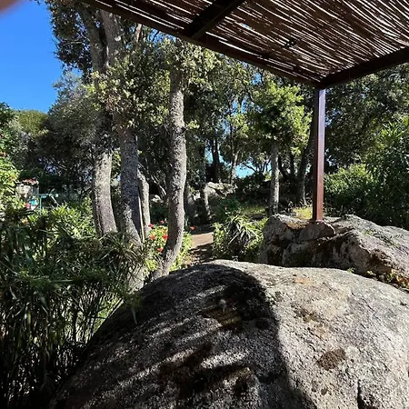 A Liccia Piscine 4pers Proche Et Port