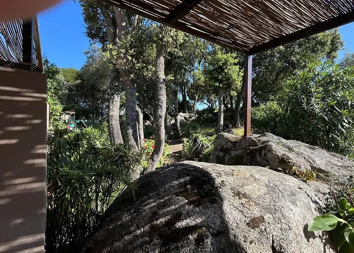 A Liccia Piscine 4pers Proche Et Port